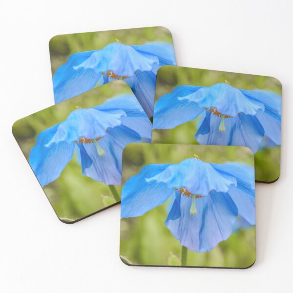 Item preview, Blue Poppy, Edinburgh Botanical Gardins, Scotland designed and sold by Beth A.  Richardson.