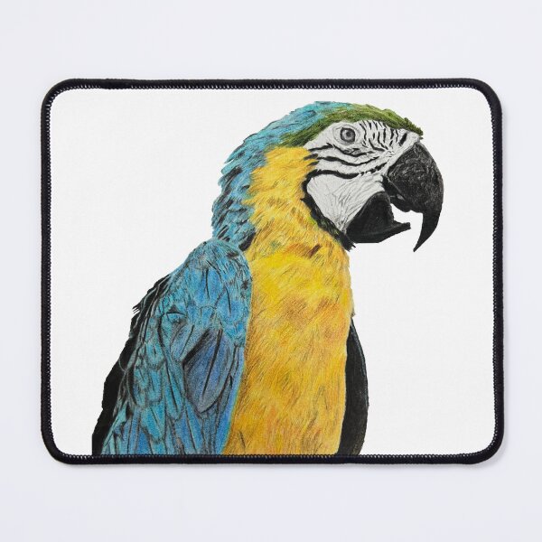 Item preview, Parrot Drawing designed and sold by DrawWithSacha.