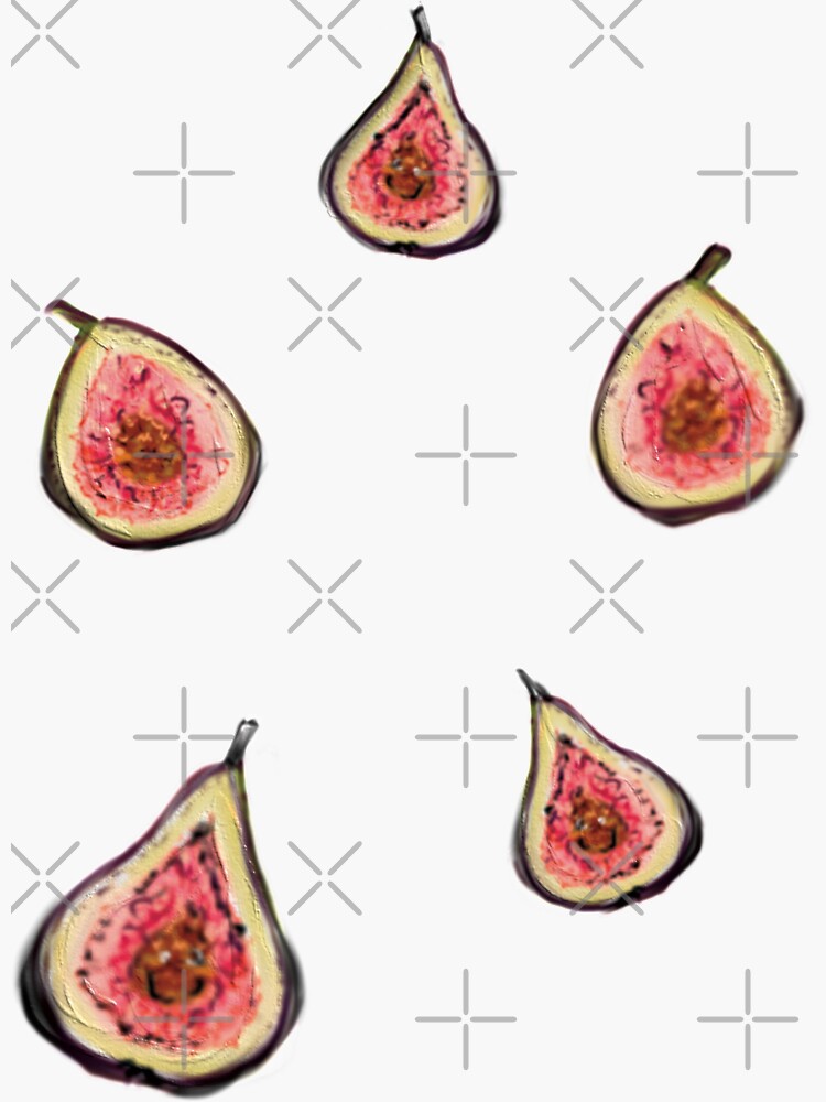 "Figs" Sticker for Sale by xsaxsandra Redbubble