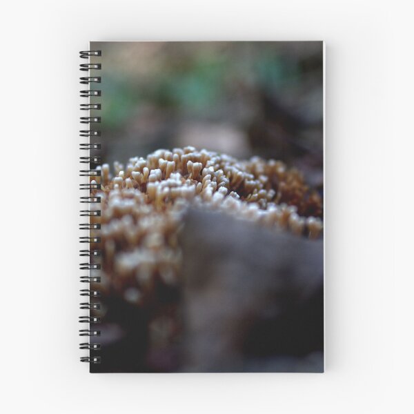 Item preview, Matchstick fungi designed and sold by myraj.