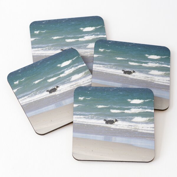 Item preview, Bordercollie At The Beach designed and sold by Lauren Elizabeth Photograhy AU.