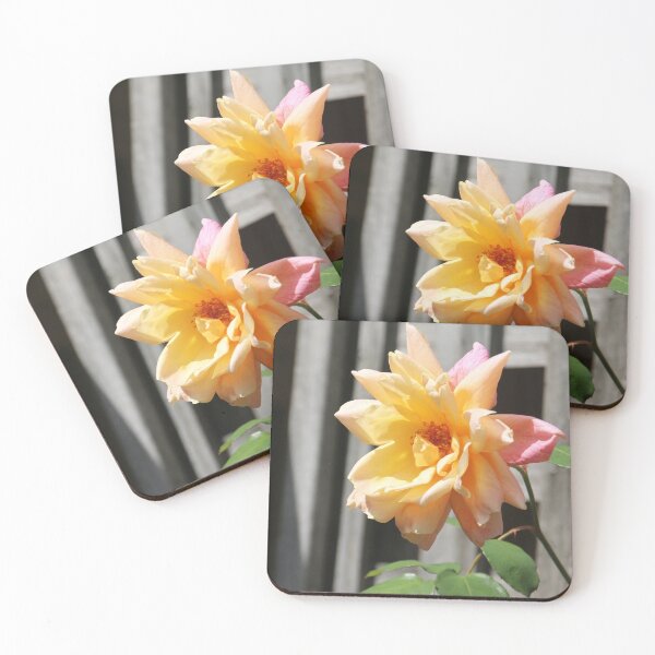 Item preview, Yellow Pink Rose designed and sold by Lauren Elizabeth Photograhy AU.