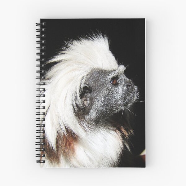 Item preview, Cotton-top Tamarin designed and sold by kirstybush.