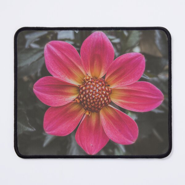 Item preview, Daisy head designed and sold by TimConstable.