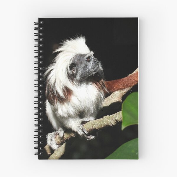 Item preview, Cotton-top Tamarin designed and sold by kirstybush.