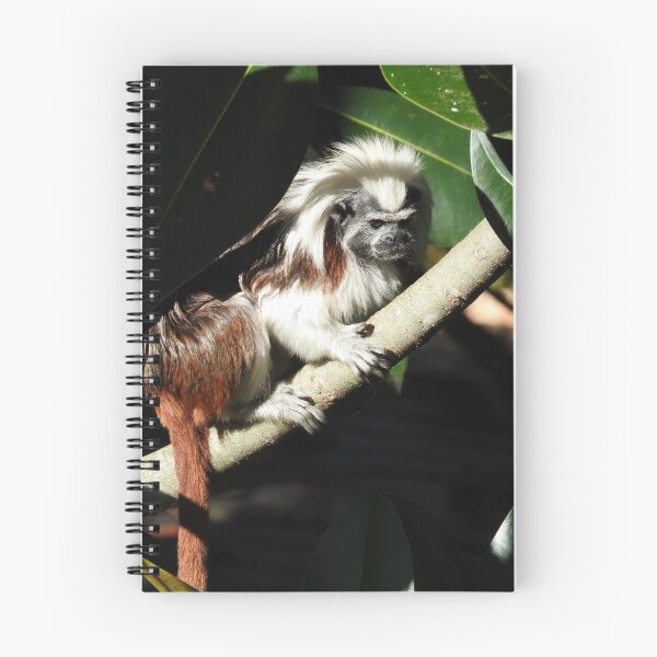Item preview, Cotton-top Tamarin designed and sold by kirstybush.