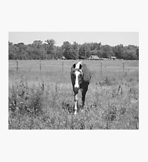 Captain Photographic Print