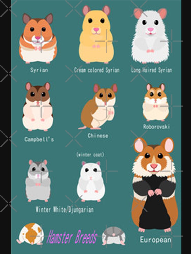 Pet Hamster Breed Information