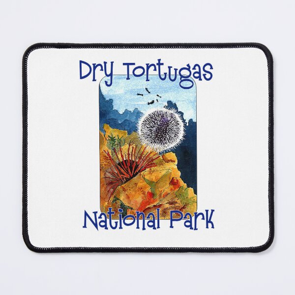 Item preview, Underwater at Dry Tortugas National Park designed and sold by MMc Buck.