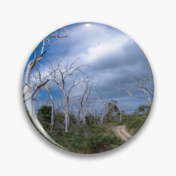 Item preview, Avenue of Dead Trees designed and sold by Steven Jodoin.