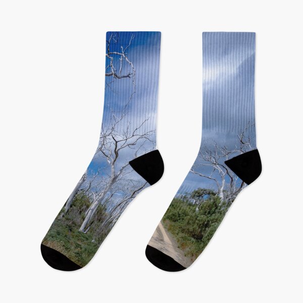 Item preview, Avenue of Dead Trees designed and sold by Steven Jodoin.