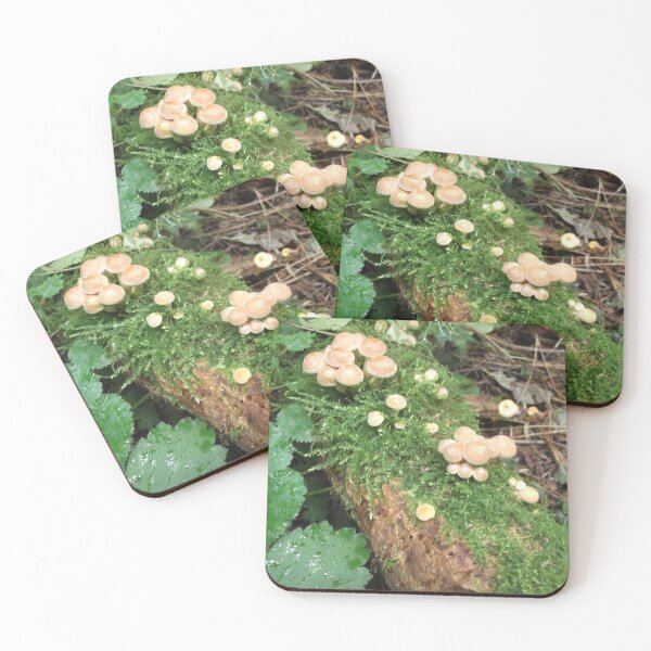 Item preview, Volksbolts/KABFA Designs Woodlands Mushrooms number two designed and sold by KABFA Designs.