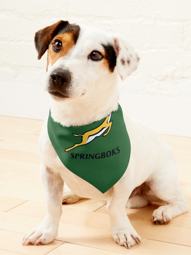 Springbok Rugby supporter gear Pet Bandana for Sale by Xhamela