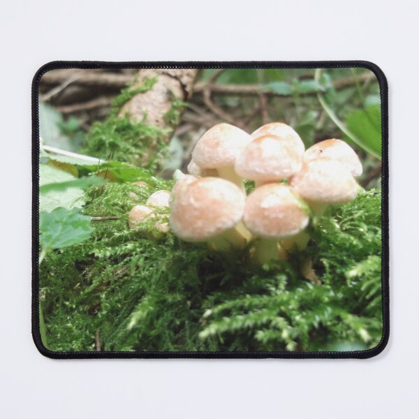 Item preview, Volksbolts/KABFA Designs Woodlands Mushrooms number four designed and sold by KABFA Designs.