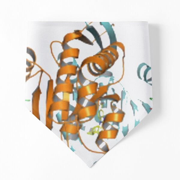 #Enzyme #Informatics, #EnzymeInformatics, #particle #chemistry #medicine #biology #science #biochemistry #shape #chemical #illustration #acid #connection #design #symbol #molecular #insect #horizontal Pet Bandana