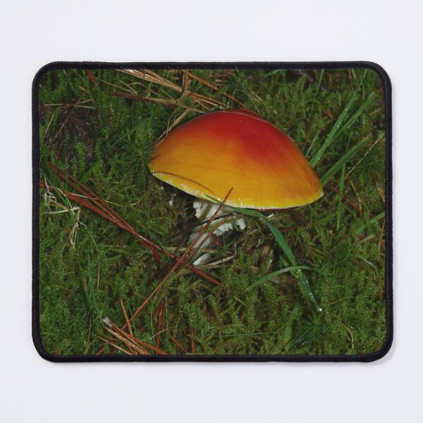Item preview, Little Orange Toadstool designed and sold by imaginethis.