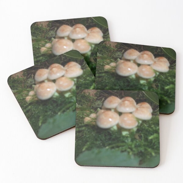 Item preview, Volksbolts KABFA Designs Woodlands Mushrooms number five  designed and sold by KABFA Designs.