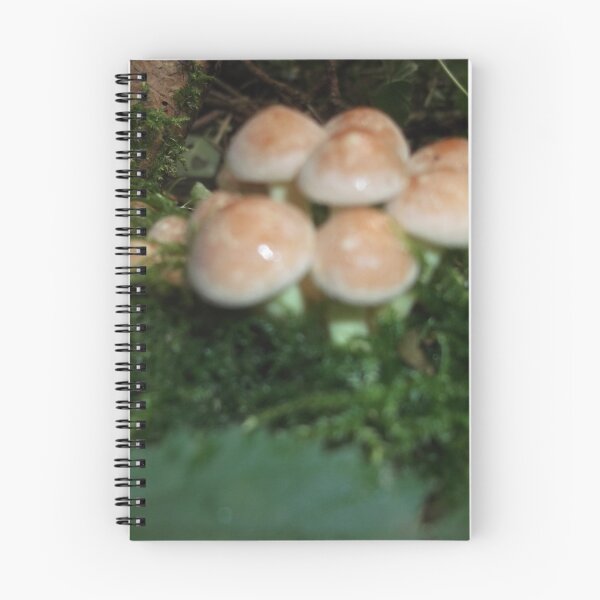 Artikelvorschau, Volksbolts KABFA Designs Woodlands Pilze Nummer fünf entworfen und verkauft von KABFA Designs.