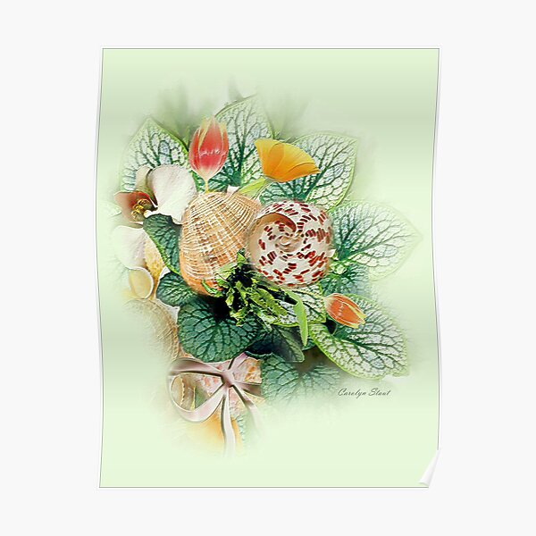 Seashell Garden Poster