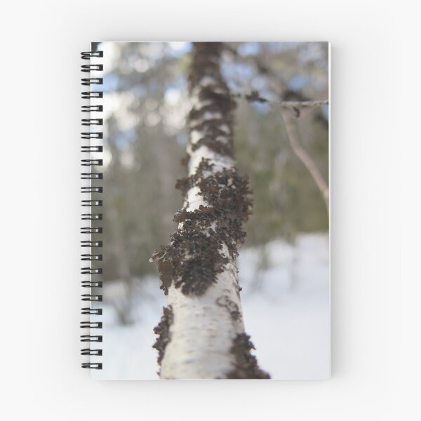 Item preview, Birch Branch designed and sold by MacrocosmDesign.