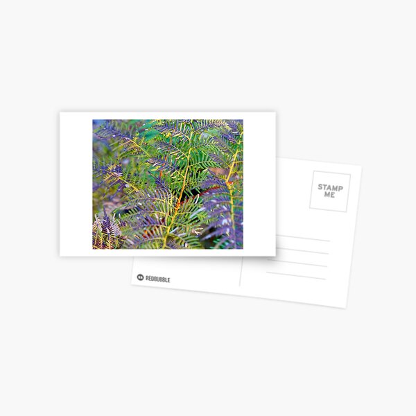 Item preview, Fern Shapes designed and sold by Harry Oldmeadow.