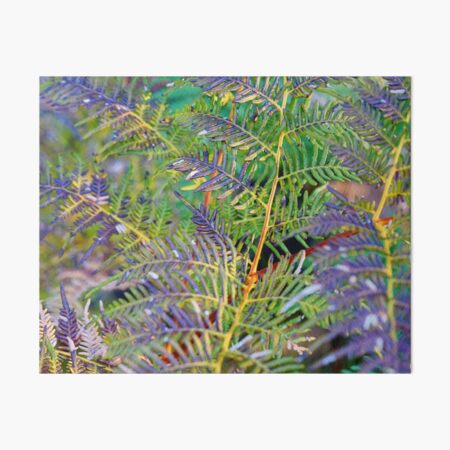 Item preview, Fern Shapes designed and sold by Harry Oldmeadow.