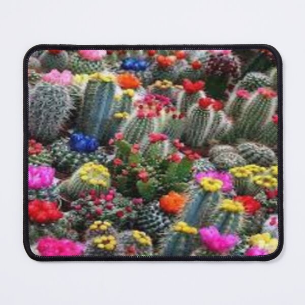 Item preview, cacti in bloom designed and sold by nigejohn.