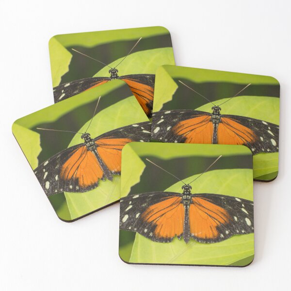 Item preview, Orange, black and white butterfly designed and sold by Dolfilms.