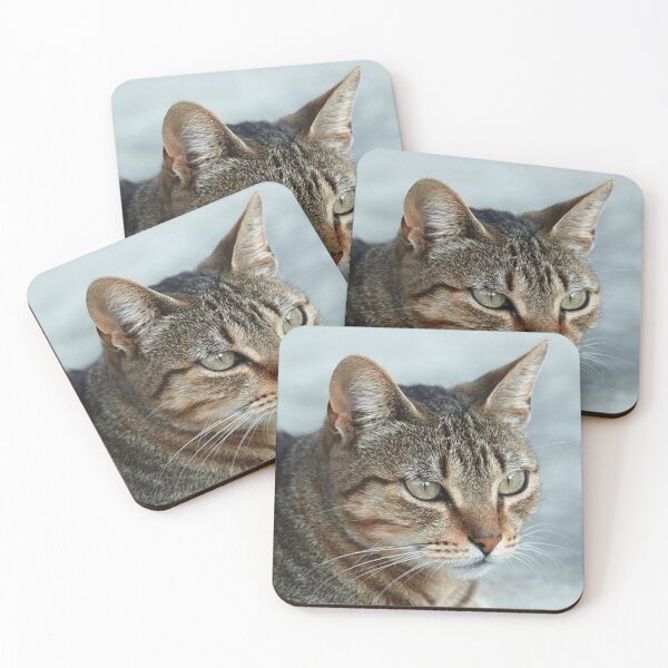 Item preview, Stunning Tabby Cat CloseUp Photo Portrait designed and sold by taiche.