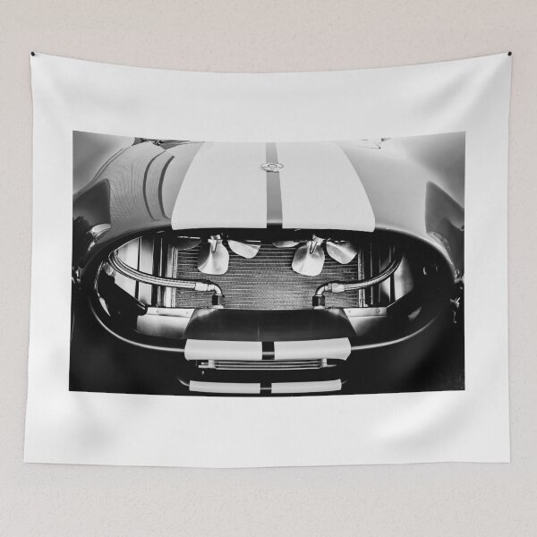 Item preview, 1965 Shelby Cobra Grille -0028bw designed and sold by Jill Reger.
