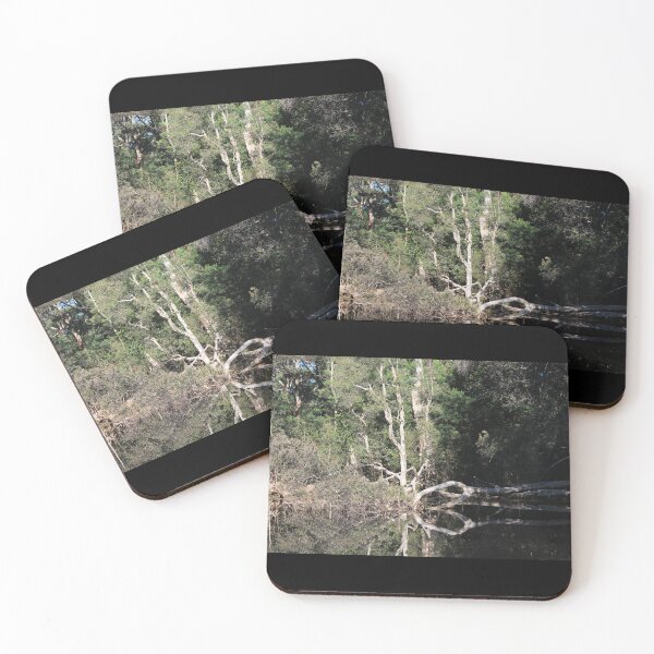 Item preview, Knot Tree in Wetlands  Awabakal Reserve designed and sold by KazM.