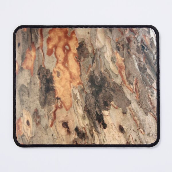 Item preview, Exfoliating Flakes Of Eucalyptus Tree Bark Photography designed and sold by taiche.