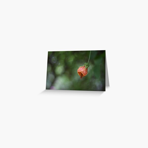 Baby Triffid Greeting Card