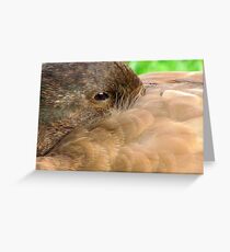 Duck Down Greeting Card