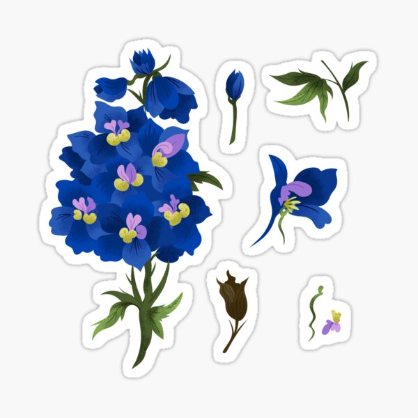 Sticker Sheet Set forget Me Not Aesthetic Stickers, Bullet Journal Stickers,  Planner Stickers, Scrapbook Stickers, Flowers, Plants 