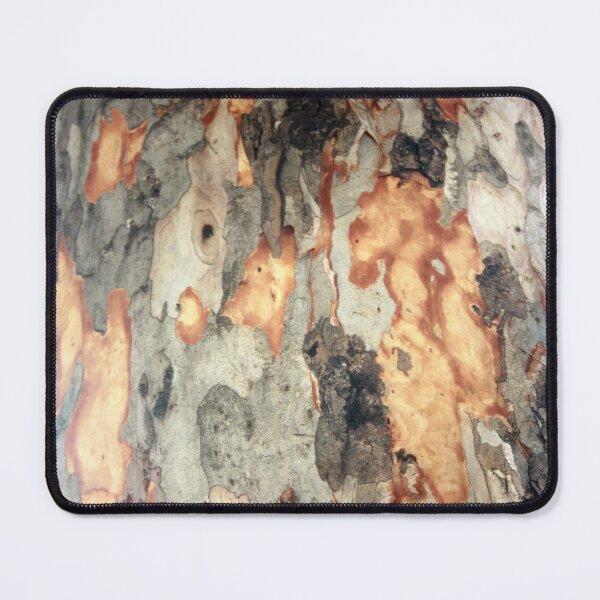Item preview, Peeling Scales Of Eucalyptus Tree Bark Photography designed and sold by taiche.