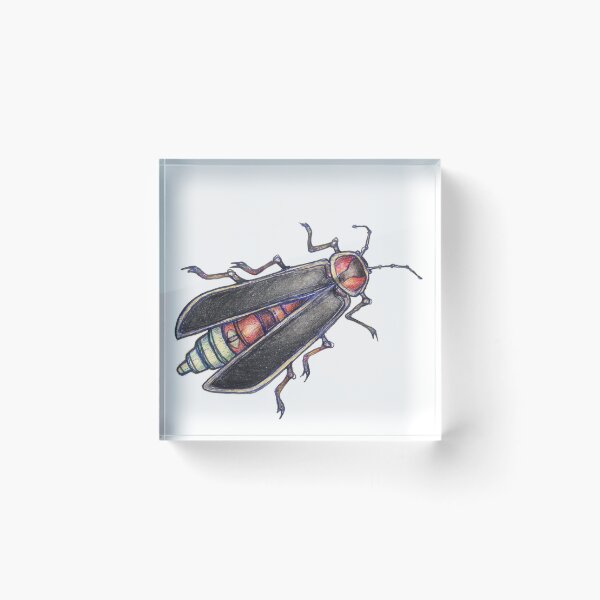 Item preview, Lightning Bug designed and sold by alexeri-art.