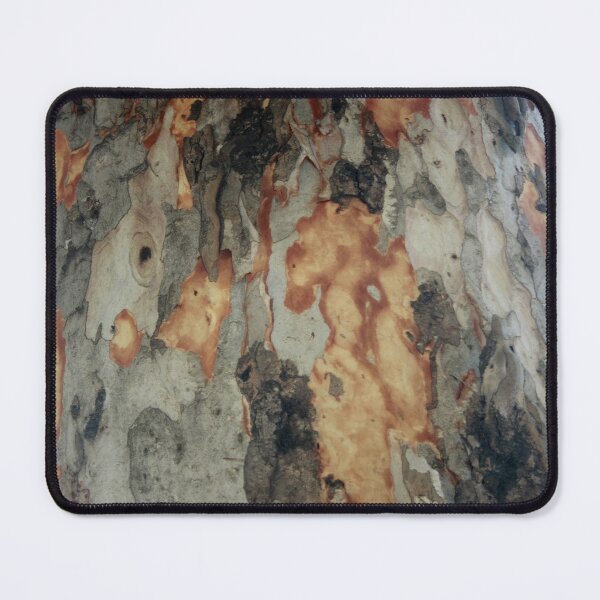 Item preview, Eucalyptus Tree Shedding Bark Abstract Photography designed and sold by taiche.
