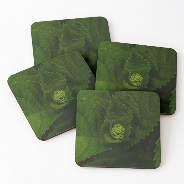 Item preview, A hydrangea promise designed and sold by TheNinthMemory.