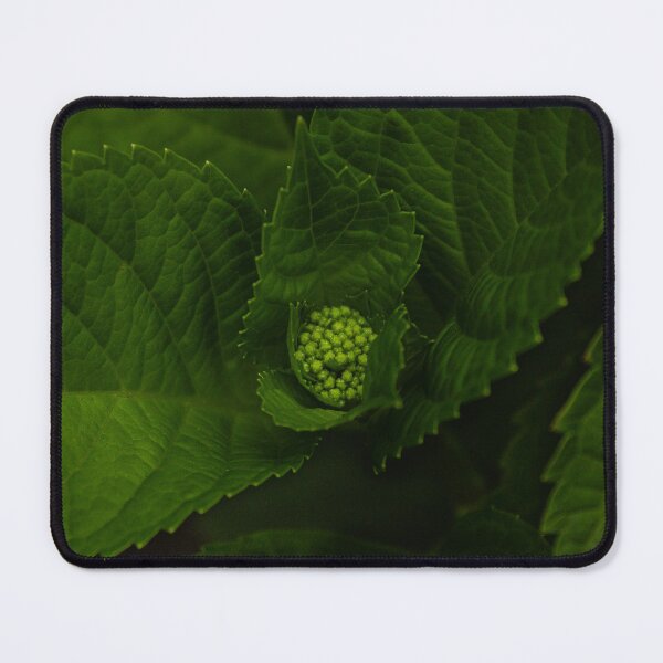 Item preview, A hydrangea promise designed and sold by TheNinthMemory.