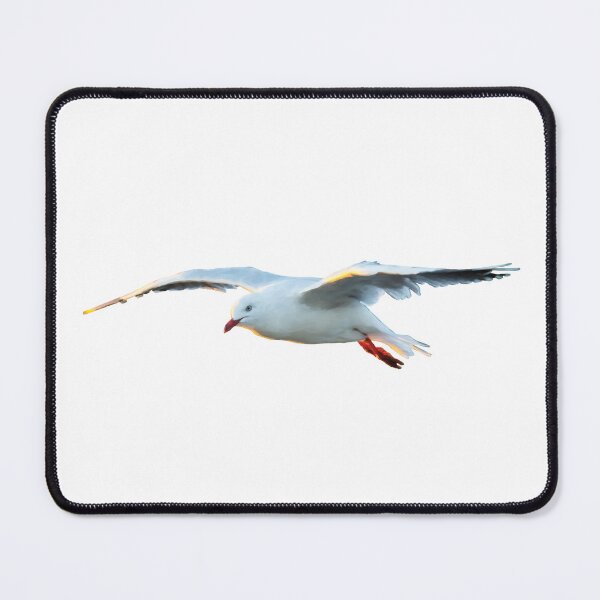 Item preview, Seagull in the Air designed and sold by BeccaJaneDesign.