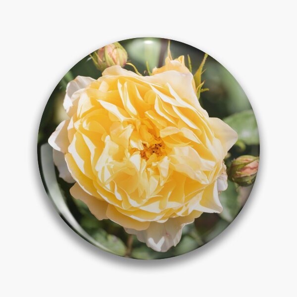 Item preview, Summer Roses In The Garden designed and sold by Tanya C  Smith.