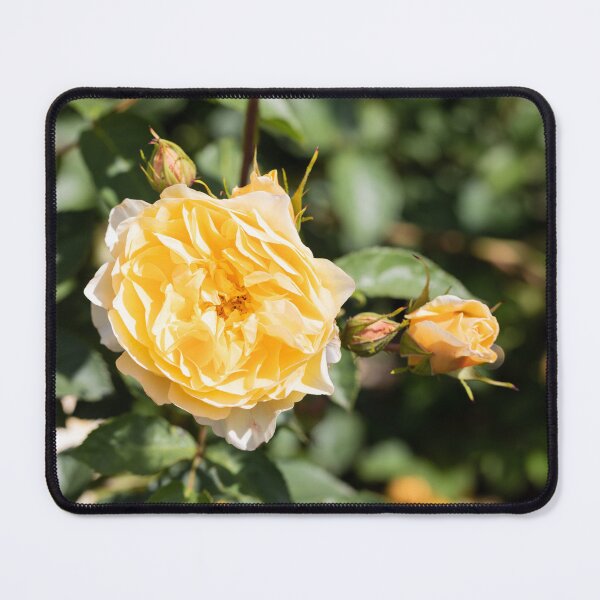 Item preview, Summer Roses In The Garden designed and sold by Tanya C Smith.