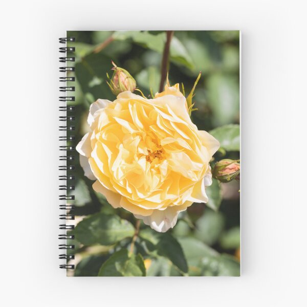 Item preview, Summer Roses In The Garden designed and sold by Tanya C  Smith.