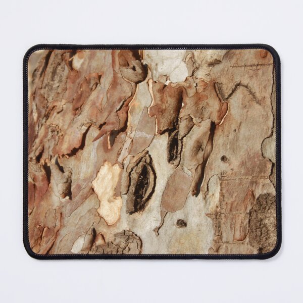 Item preview, Eucalyptus Tree Bark Texture Abstract Close Up Photograph designed and sold by taiche.