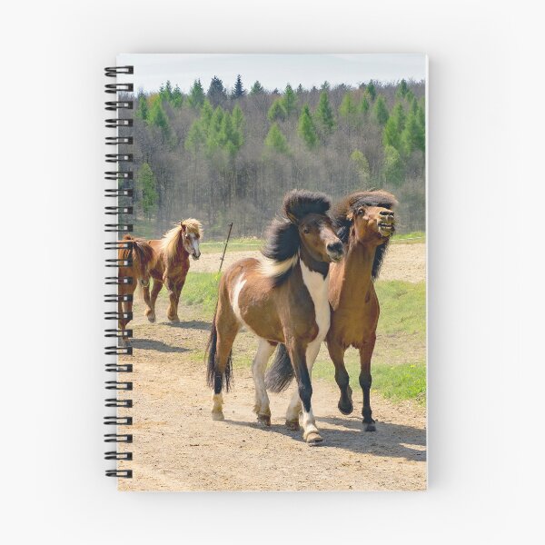 Item preview, Icelandic horses on the way back to the stable - horsephotography designed and sold by MarionsArt.