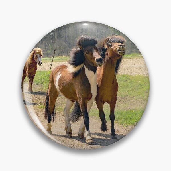 Item preview, Icelandic horses on the way back to the stable - horsephotography designed and sold by MarionsArt.