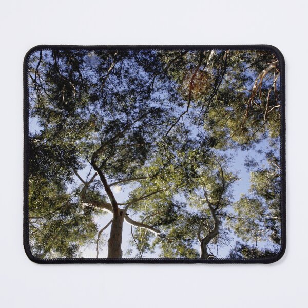 Item preview, Eucalyptus Tree Canopy Abstract Photography designed and sold by taiche.