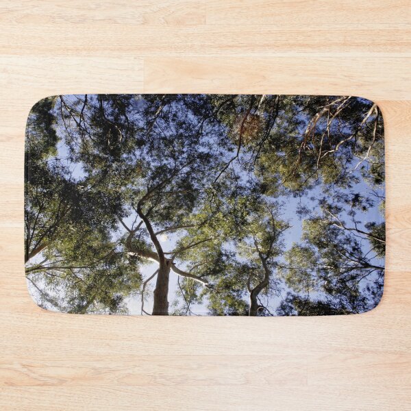Item preview, Eucalyptus Tree Canopy Abstract Photography designed and sold by taiche.