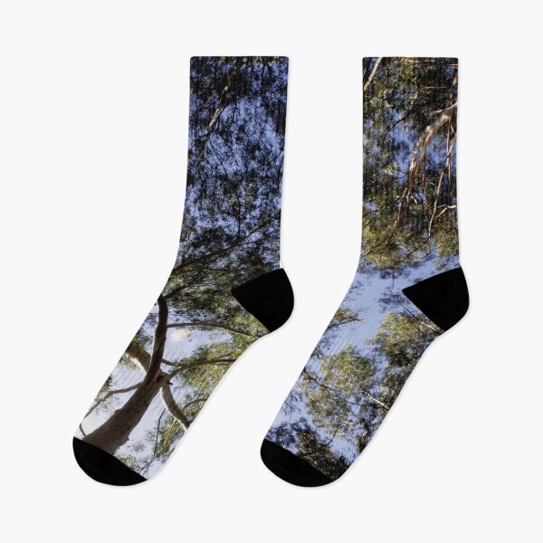 Item preview, Eucalyptus Tree Canopy Abstract Photography designed and sold by taiche.